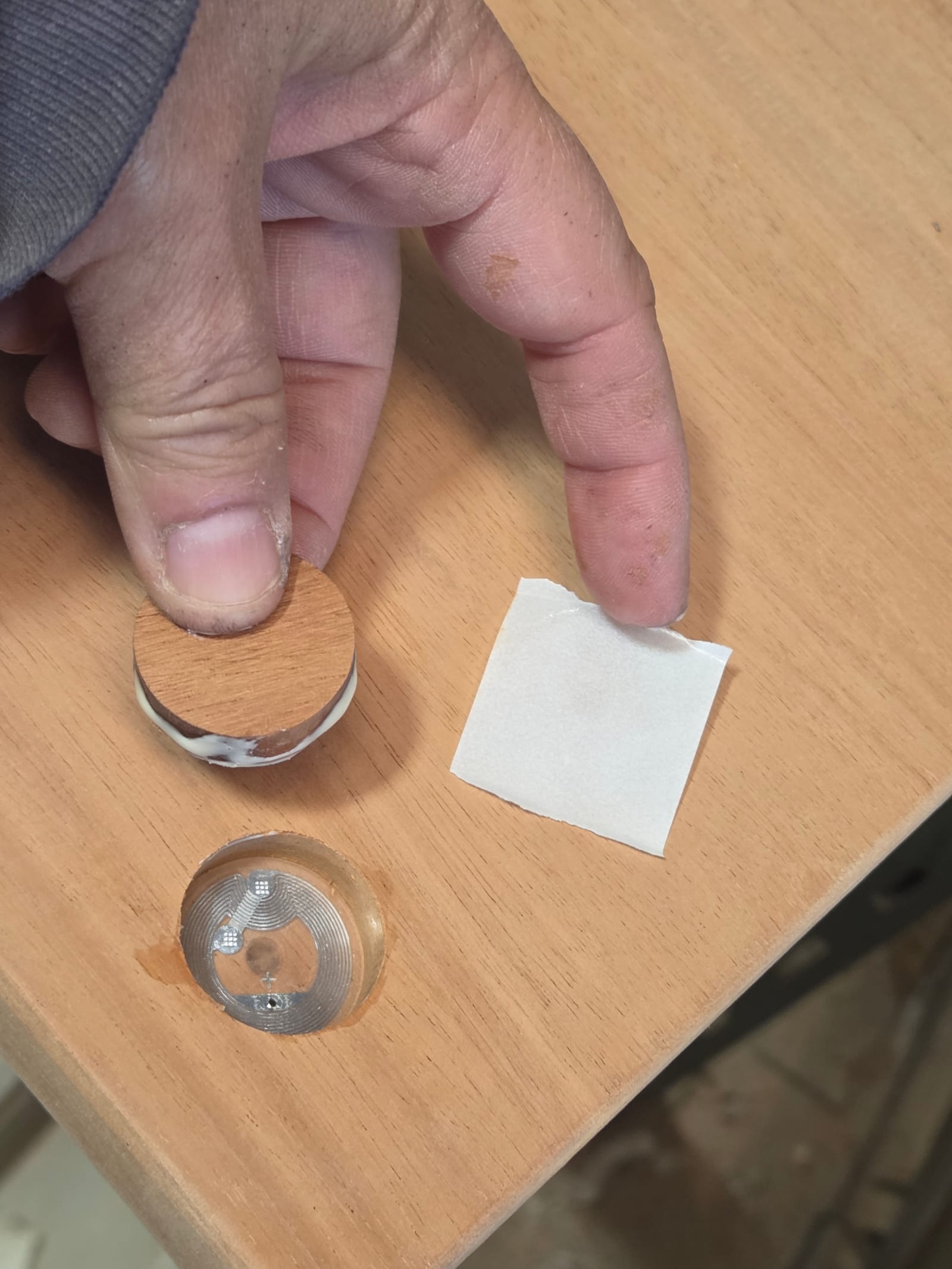 A coin-sized tag being set into a shallow recess in the wood, the plug that will cover it beside it